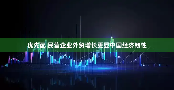 优先配 民营企业外贸增长更显中国经济韧性