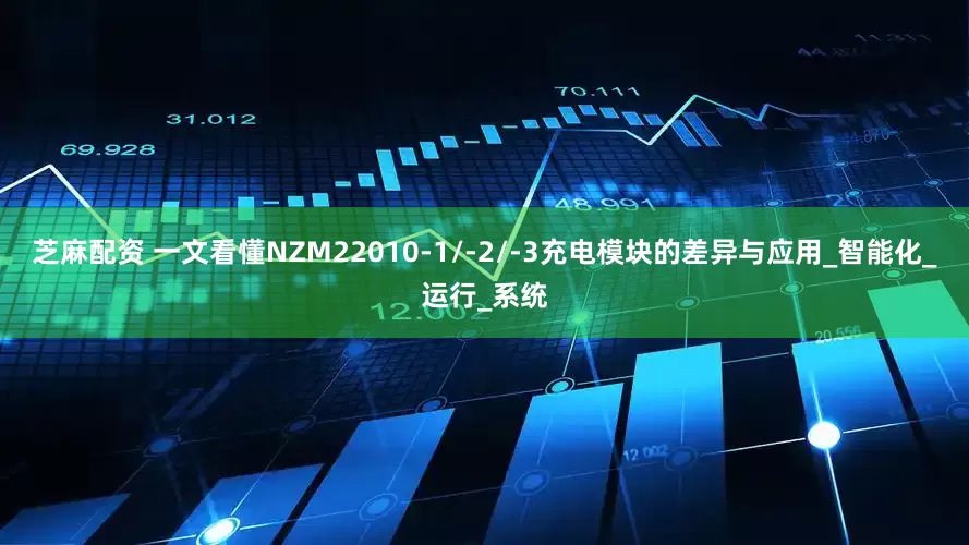 芝麻配资 一文看懂NZM22010-1/-2/-3充电模块的差异与应用_智能化_运行_系统