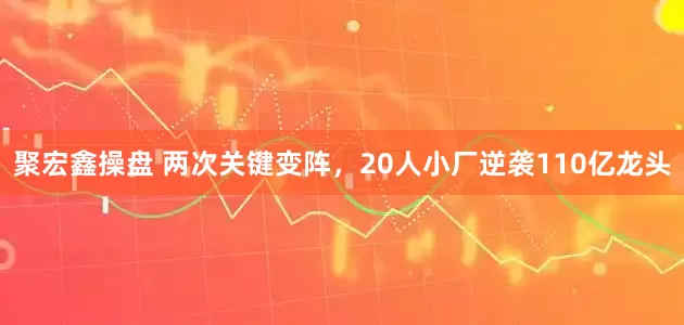 聚宏鑫操盘 两次关键变阵，20人小厂逆袭110亿龙头
