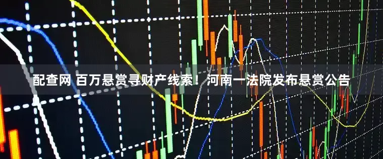 配查网 百万悬赏寻财产线索！河南一法院发布悬赏公告
